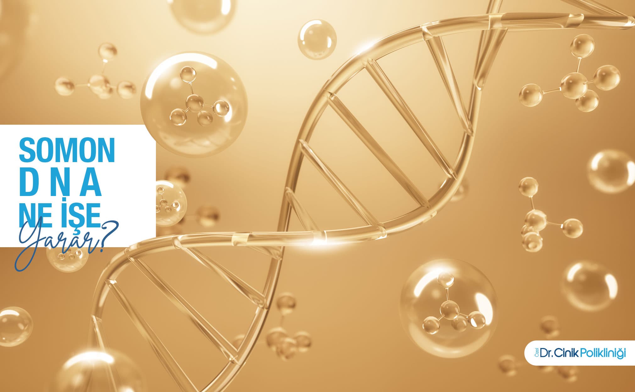 Somon DNA Ne İşe Yarar?